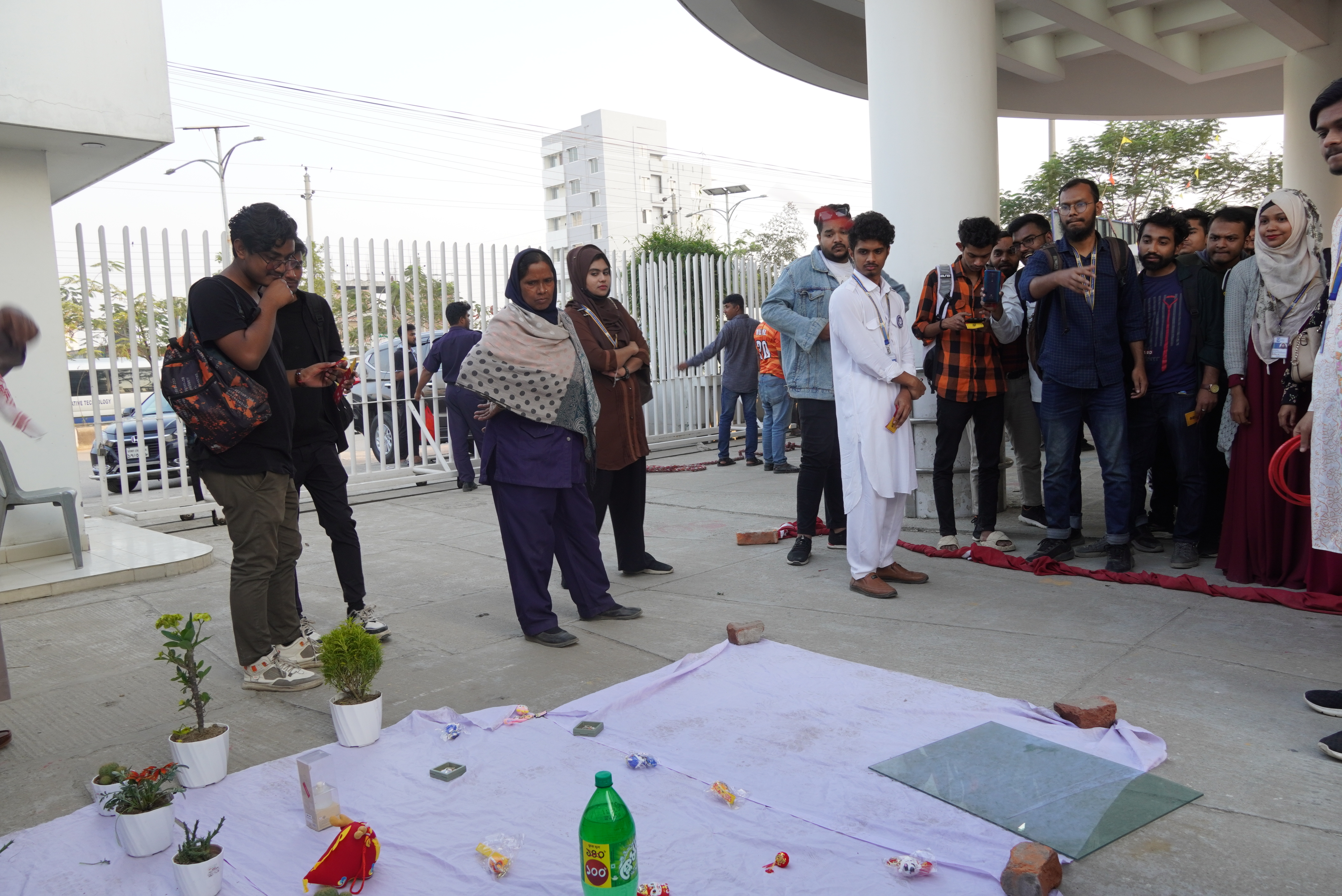 2024欢乐春节 Gallery